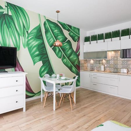 Cozy Modern Studio Green Apartment In Old Town クラクフ エクステリア 写真