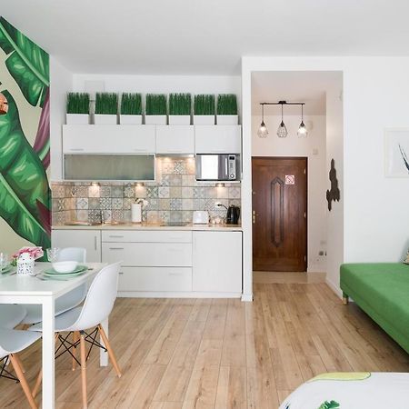 Cozy Modern Studio Green Apartment In Old Town クラクフ エクステリア 写真