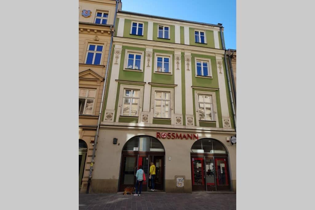 Cozy Modern Studio Green Apartment In Old Town クラクフ エクステリア 写真